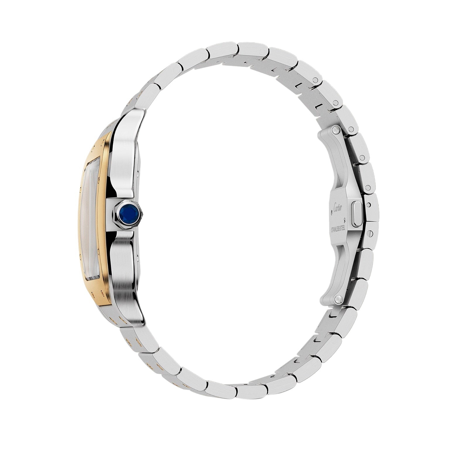 Santos de Cartier Large Model | 40mm, Two-Tone Steel & 18K Yellow Gold, Silver Dial