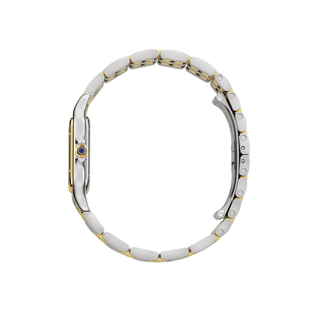 Panthère de Cartier Large Model | 29mm, Two-Tone Steel & 18K Yellow Gold, Silver Dial